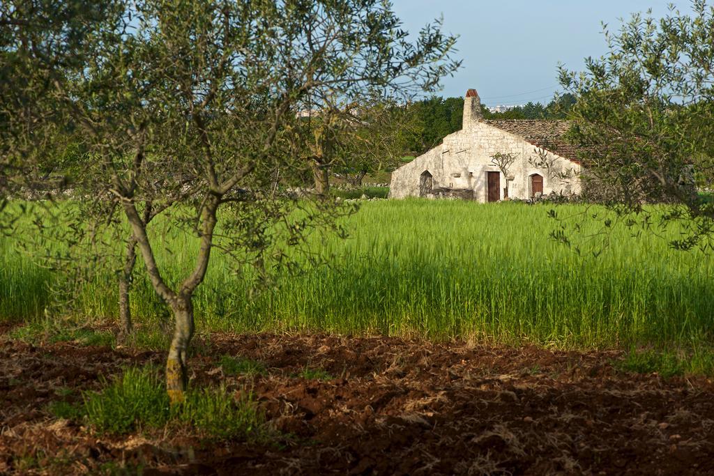 Masseria Ciavea Gioia Del Colle Exteriör bild