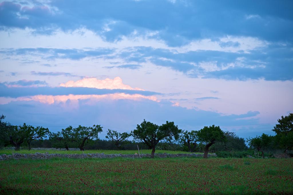 Masseria Ciavea Gioia Del Colle Exteriör bild